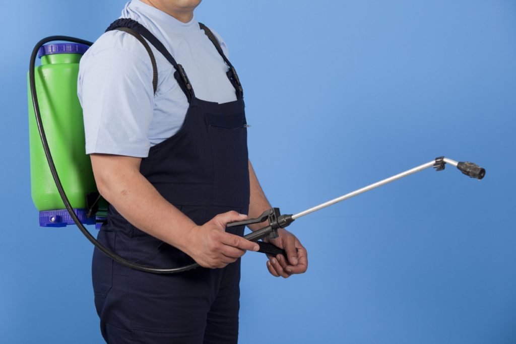 Ways To Find The Best Pest Control Service