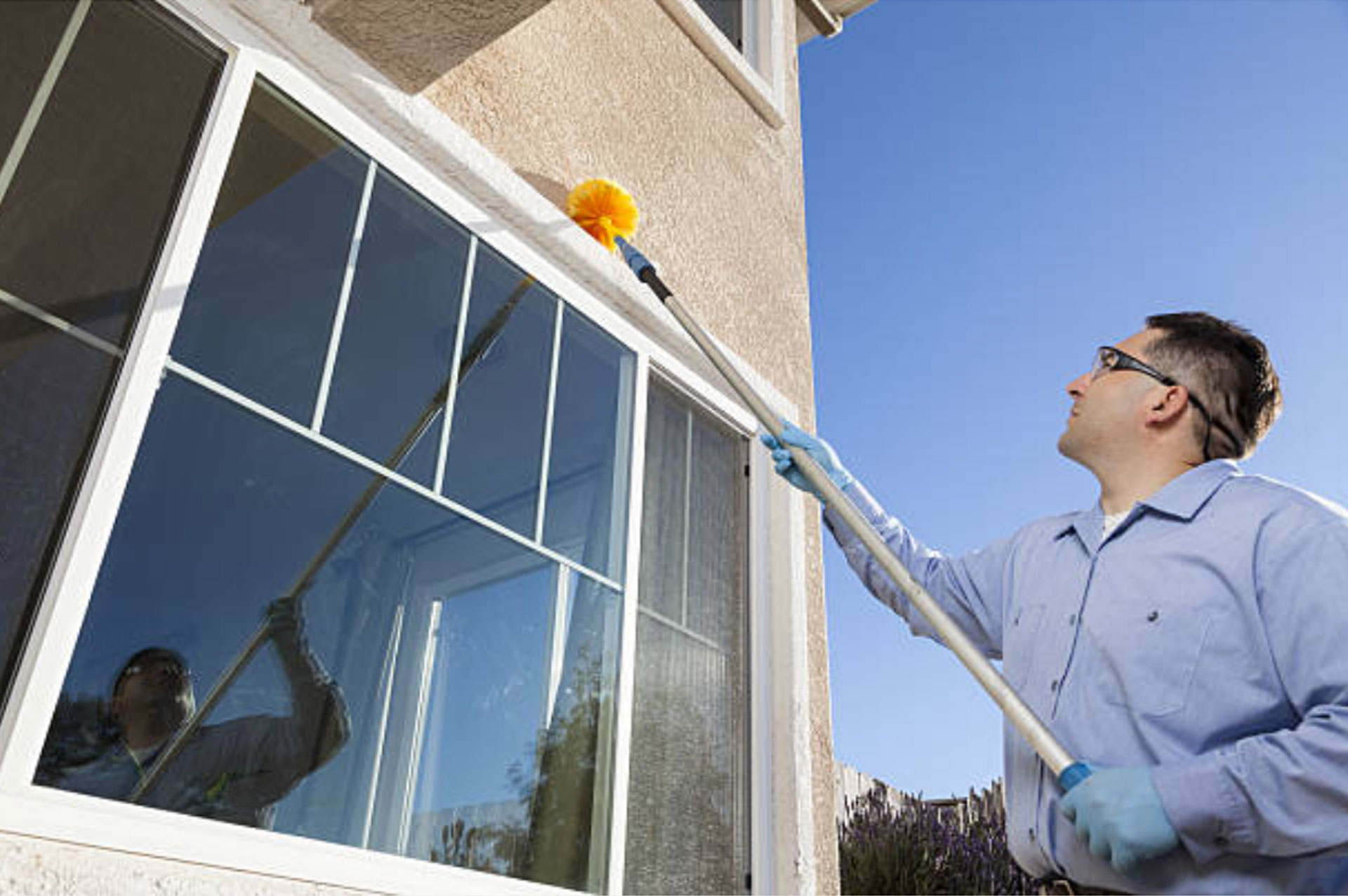 Pest Control Service